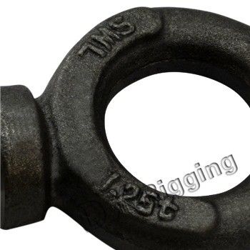 Technologie de coulée de précision de levage des boulons oculaires BS 4278 avec certification CE